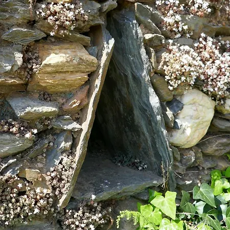 Casa Adega בית נופש