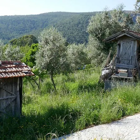 Casa Adega בית נופש